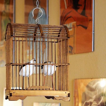 Chambres D'Hotes Le Secret Du Chat กอร์เดอซูร์ซีแยล ภายนอก รูปภาพ