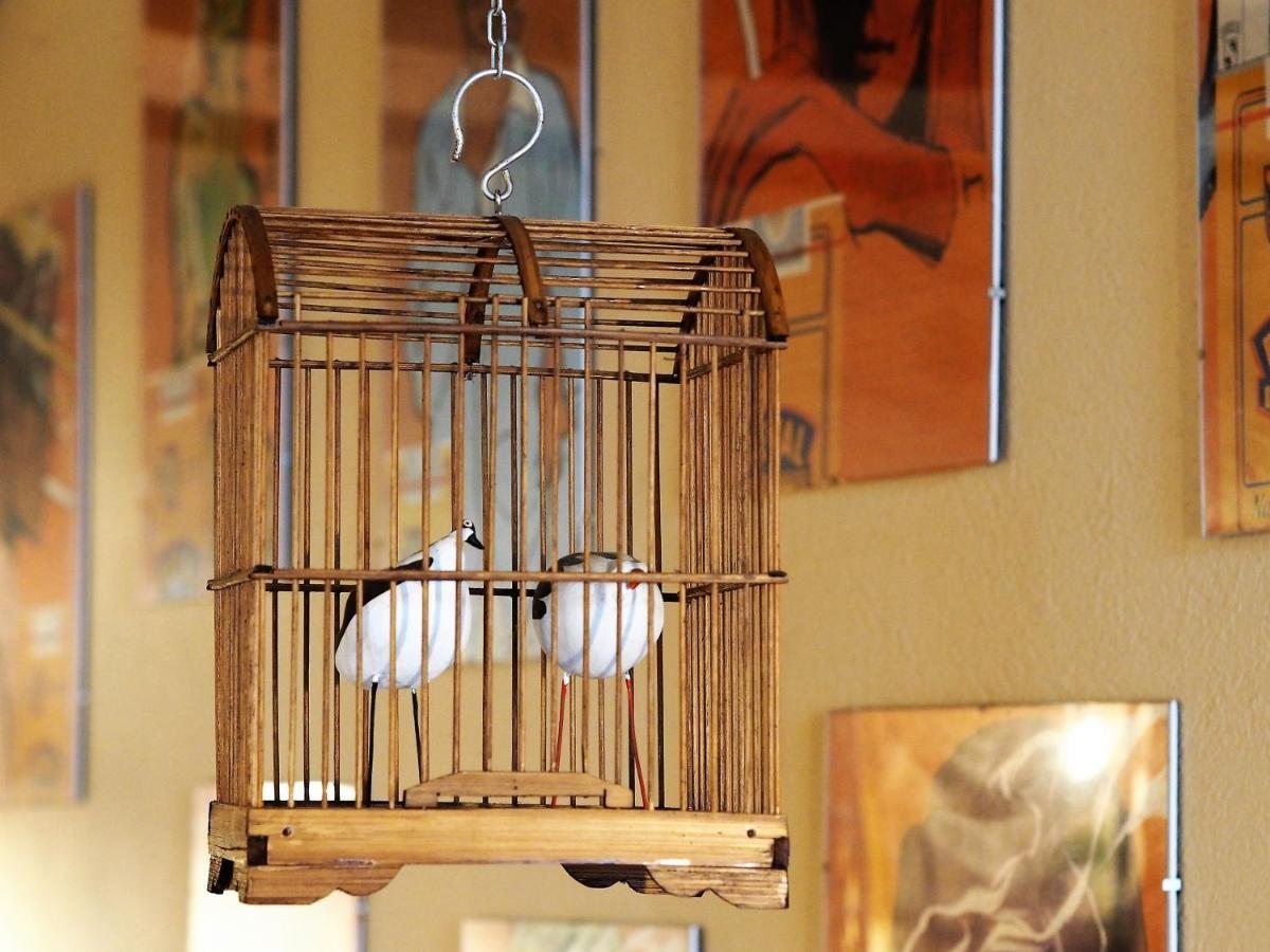 Chambres D'Hotes Le Secret Du Chat กอร์เดอซูร์ซีแยล ภายนอก รูปภาพ