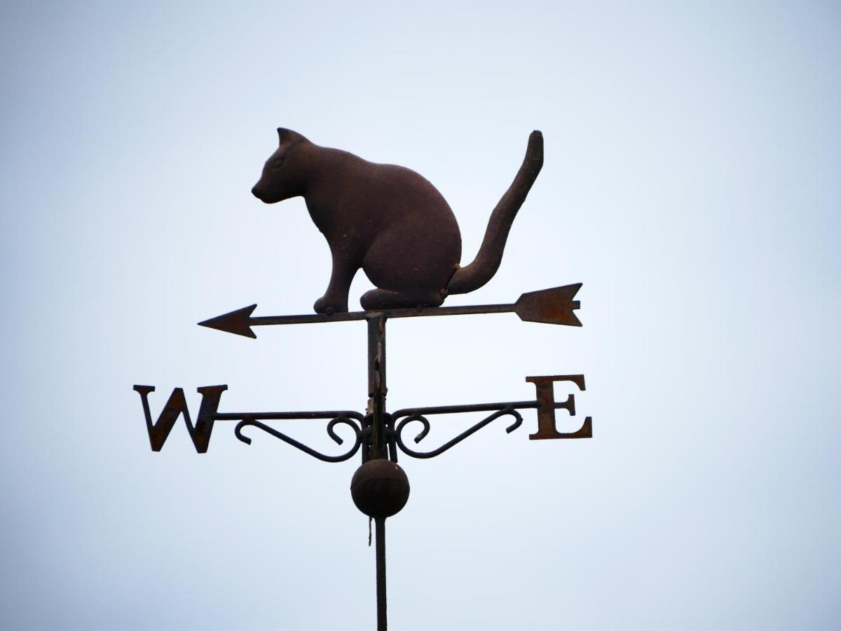Chambres D'Hotes Le Secret Du Chat กอร์เดอซูร์ซีแยล ภายนอก รูปภาพ